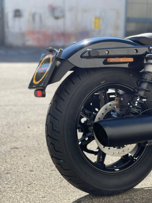 Porta targa 3 in 1 Sportster Nightster RH975 2022-up