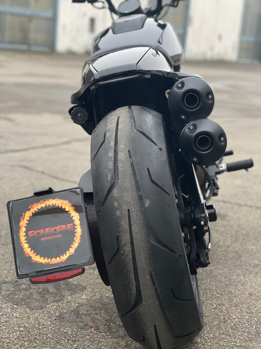 Porta targa Laterale Sportster S 1250 2021-Up