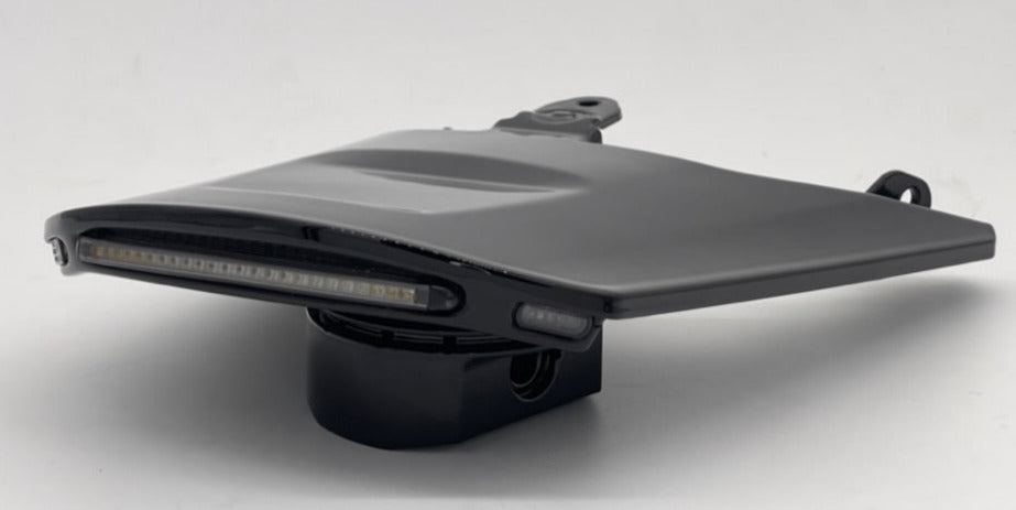 Sportster S 1250 Taillight & Turn Signal "PAINTED" mudflap