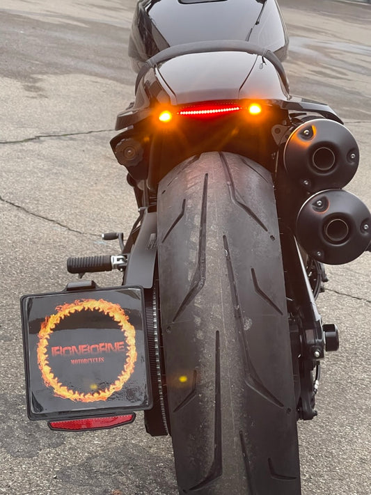 Taillight & Turn Signal Kit Sportster S 1250