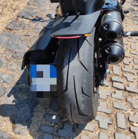 Paraspruzzo Sportster S 1250 Taillight & Turn Signal "VERNICIATO"